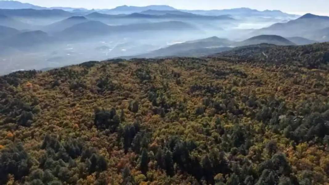 Dünyada Sadece Isparta'da Var! İzinsiz Girenlere 557 Bin TL Ceza 2